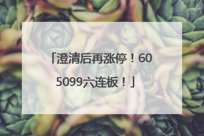 澄清后再涨停！605099六连板！