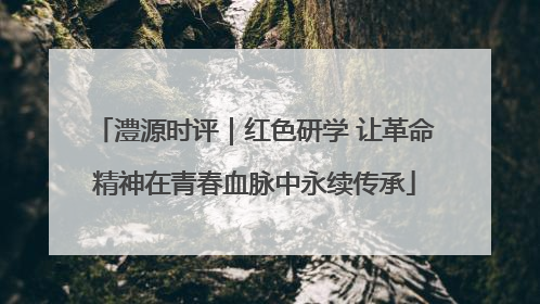 澧源时评｜红色研学 让革命精神在青春血脉中永续传承