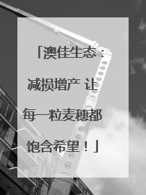澳佳生态：减损增产 让每一粒麦穗都饱含希望！