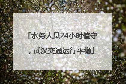 水务人员24小时值守，武汉交通运行平稳