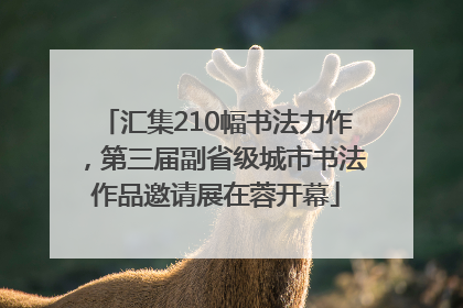 汇集210幅书法力作，第三届副省级城市书法作品邀请展在蓉开幕