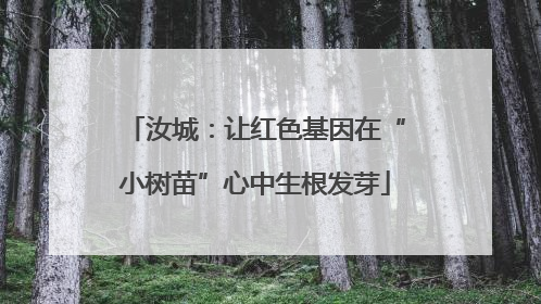 汝城：让红色基因在“小树苗”心中生根发芽