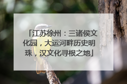 江苏徐州：三诸侯文化园，大运河畔历史明珠，汉文化寻根之地