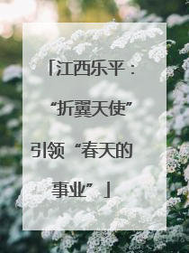 江西乐平：“折翼天使”引领“春天的事业”