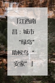 江西南昌：城市“绿岛”助候鸟“安家”