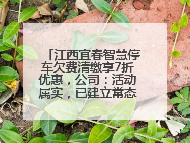 江西宜春智慧停车欠费清缴享7折优惠，公司：活动属实，已建立常态化诉讼追缴机制