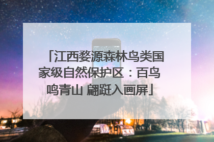 江西婺源森林鸟类国家级自然保护区：百鸟鸣青山 翩跹入画屏