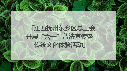 江西抚州东乡区总工会开展“六一”普法宣传暨传统文化体验活动