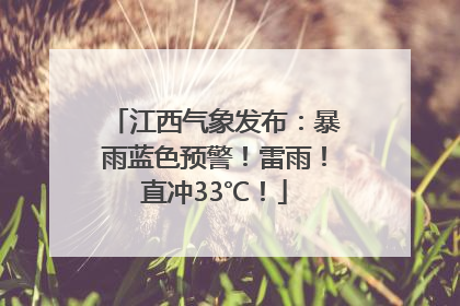 江西气象发布：暴雨蓝色预警！雷雨！直冲33℃！