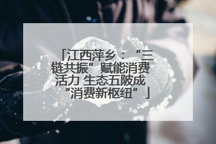 江西萍乡：“三链共振”赋能消费活力 生态五陂成“消费新枢纽”