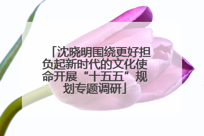 沈晓明围绕更好担负起新时代的文化使命开展“十五五”规划专题调研