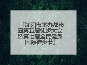 沈阳市举办都市圈第五届徒步大会暨第七届全民健身国际徒步节