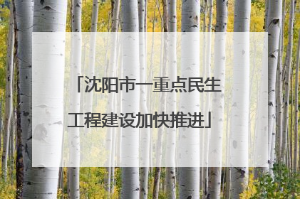 沈阳市一重点民生工程建设加快推进