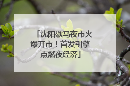 沈阳歇马夜市火爆开市！首发引擎点燃夜经济