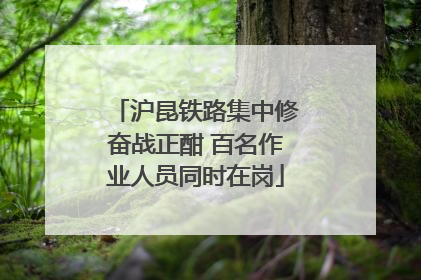 沪昆铁路集中修奋战正酣 百名作业人员同时在岗