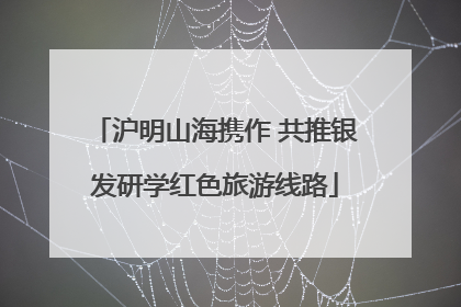 沪明山海携作 共推银发研学红色旅游线路