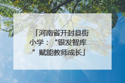 河南省开封县街小学：“银发智库”赋能教师成长