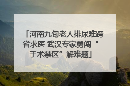 河南九旬老人排尿难跨省求医 武汉专家勇闯“手术禁区”解难题