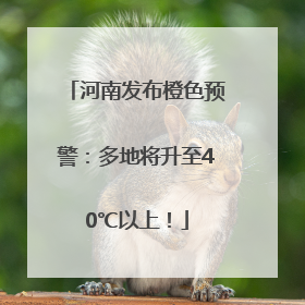 河南发布橙色预警：多地将升至40℃以上！