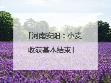 河南安阳：小麦收获基本结束