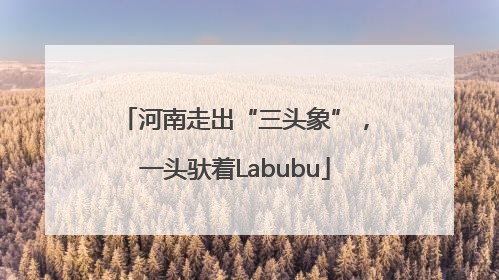 河南走出“三头象”，一头驮着Labubu