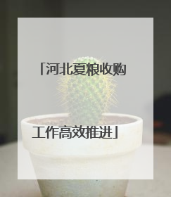河北夏粮收购工作高效推进