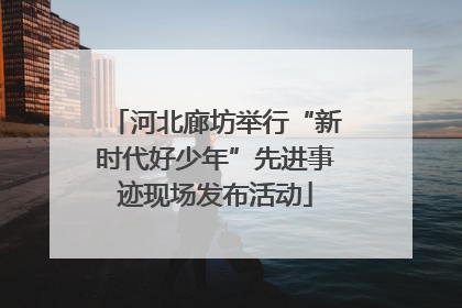河北廊坊举行“新时代好少年”先进事迹现场发布活动