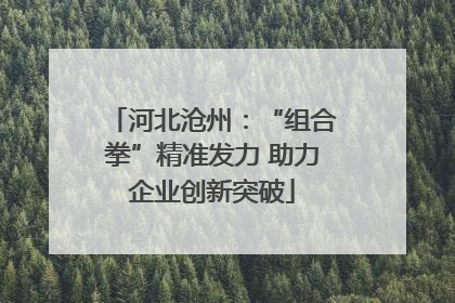 河北沧州：“组合拳”精准发力 助力企业创新突破