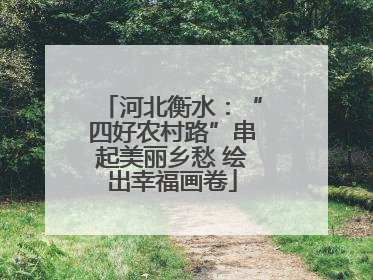 河北衡水：“四好农村路”串起美丽乡愁 绘出幸福画卷
