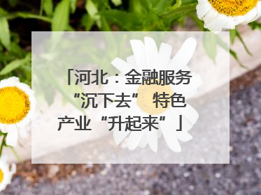 河北：金融服务“沉下去” 特色产业“升起来”