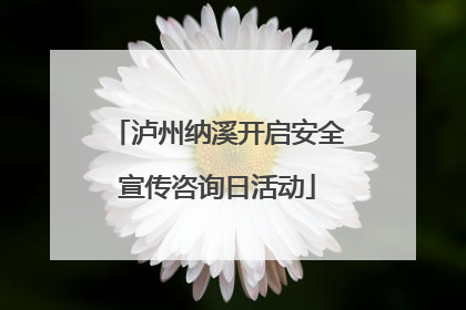 泸州纳溪开启安全宣传咨询日活动