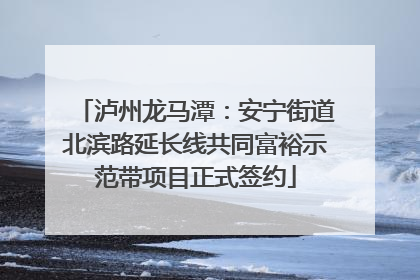 泸州龙马潭：安宁街道北滨路延长线共同富裕示范带项目正式签约