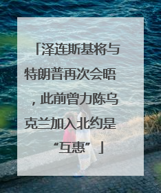 泽连斯基将与特朗普再次会晤，此前曾力陈乌克兰加入北约是“互惠”