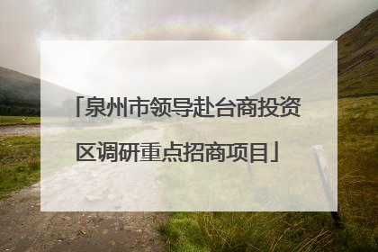 泉州市领导赴台商投资区调研重点招商项目