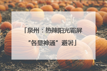 泉州：热辣阳光霸屏 “各显神通”避暑