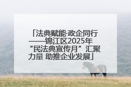 法典赋能·政企同行——锦江区2025年“民法典宣传月”汇聚力量 助推企业发展