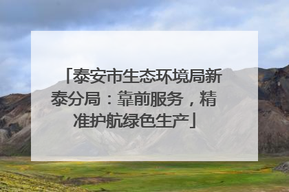 泰安市生态环境局新泰分局：靠前服务，精准护航绿色生产