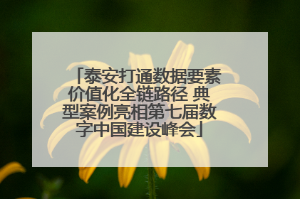 泰安打通数据要素价值化全链路径 典型案例亮相第七届数字中国建设峰会