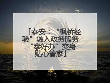泰安：“枫桥经验”融入政务服务 “泰好办”变身贴心管家