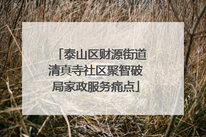 泰山区财源街道清真寺社区聚智破局家政服务痛点
