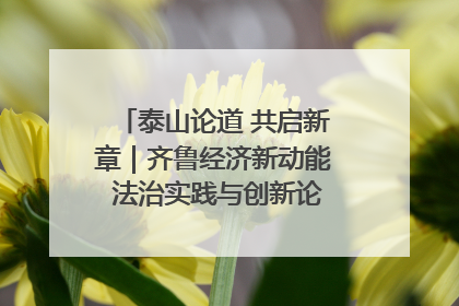 泰山论道 共启新章｜齐鲁经济新动能 法治实践与创新论坛成功举办