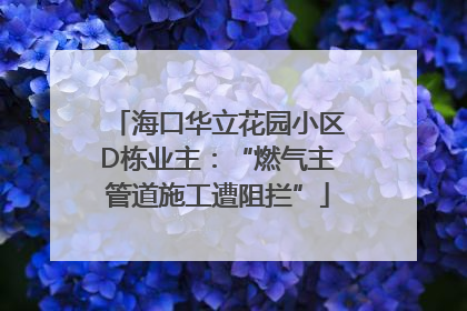 海口华立花园小区D栋业主：“燃气主管道施工遭阻拦”