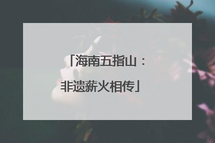 海南五指山：非遗薪火相传