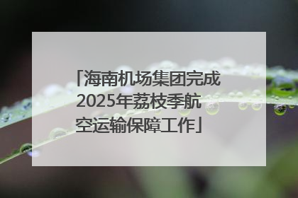 海南机场集团完成2025年荔枝季航空运输保障工作