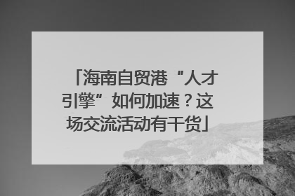 海南自贸港“人才引擎”如何加速？这场交流活动有干货