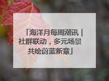 海洋月每周潮讯｜社群联动，多元场景共绘蔚蓝新章