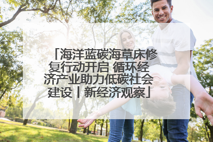 海洋蓝碳海草床修复行动开启 循环经济产业助力低碳社会建设丨新经济观察