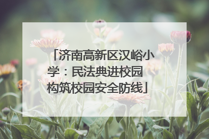济南高新区汉峪小学：民法典进校园 构筑校园安全防线
