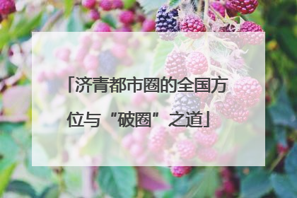 济青都市圈的全国方位与“破圈”之道