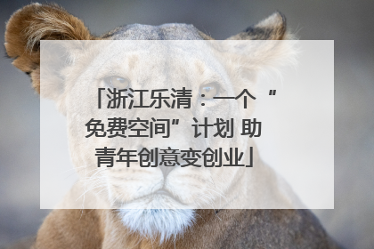 浙江乐清：一个“免费空间”计划 助青年创意变创业